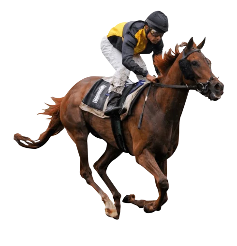 Bättre förutsättningar för hästsport via utländsk betting