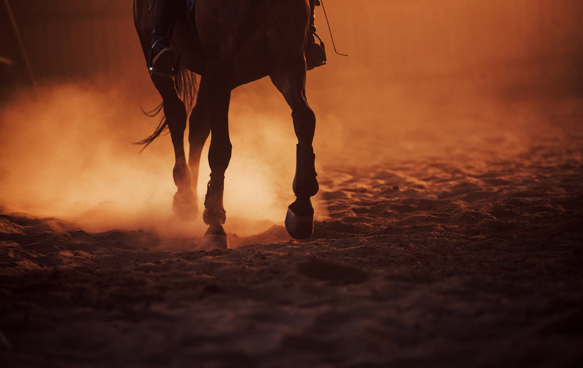 Majestic image of horse silhouette with rider on sunset background