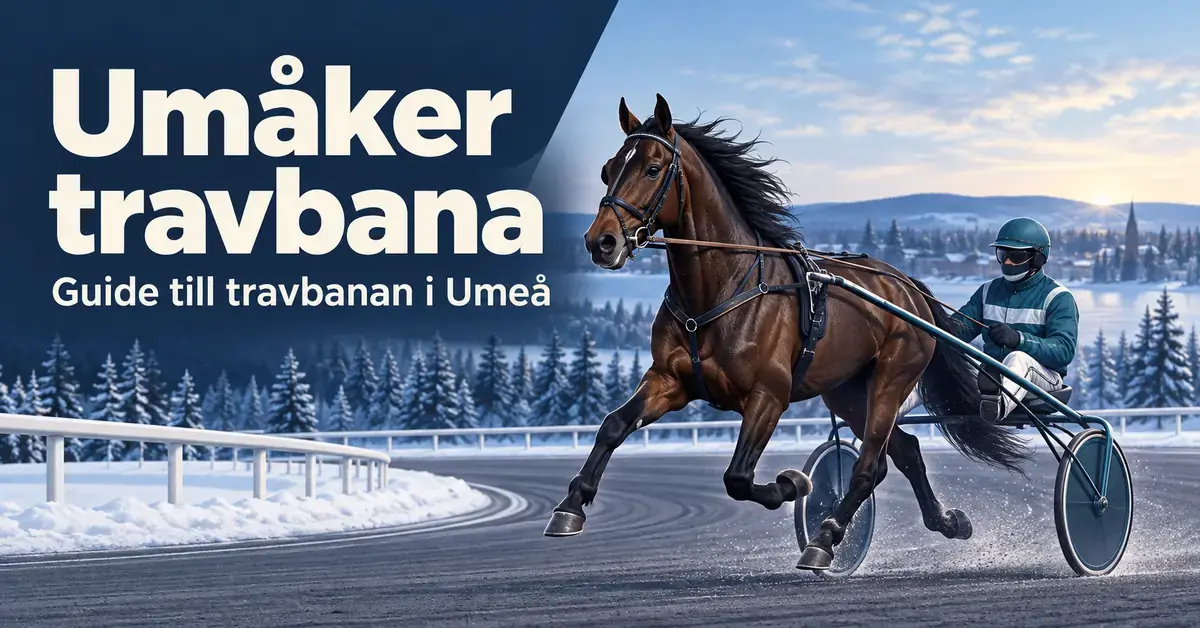 Illustration av en travhäst med sulky och kusk på en vinterbana, med texten ”Umåker travbana – Guide till travbanan i Umeå”.