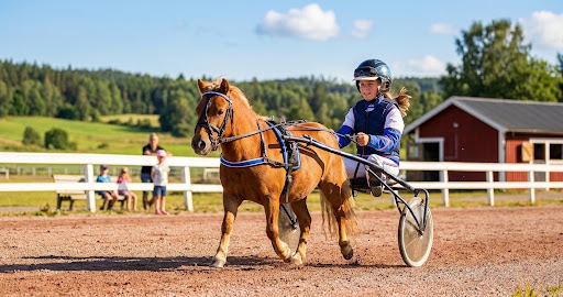 Ponnytrav och travskola – så börjar barn och unga med trav
